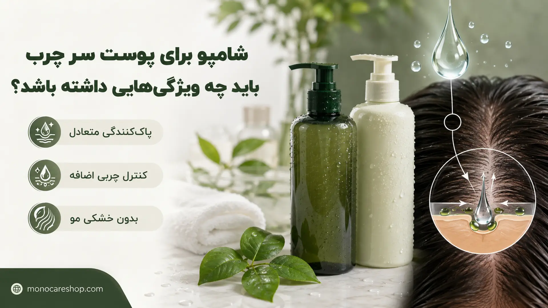 شامپو برای پوست سر چرب باید چه ویژگیهایی داشته باشد؟