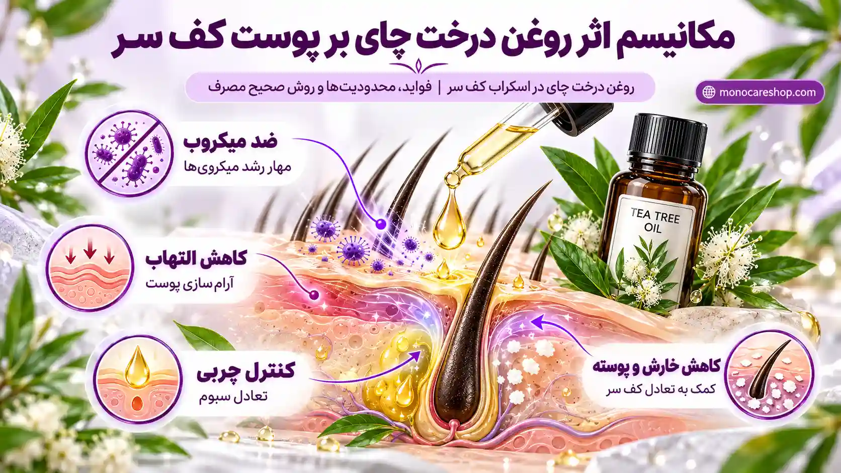 مکانیسم اثر روغن درخت چای بر پوست کف سر