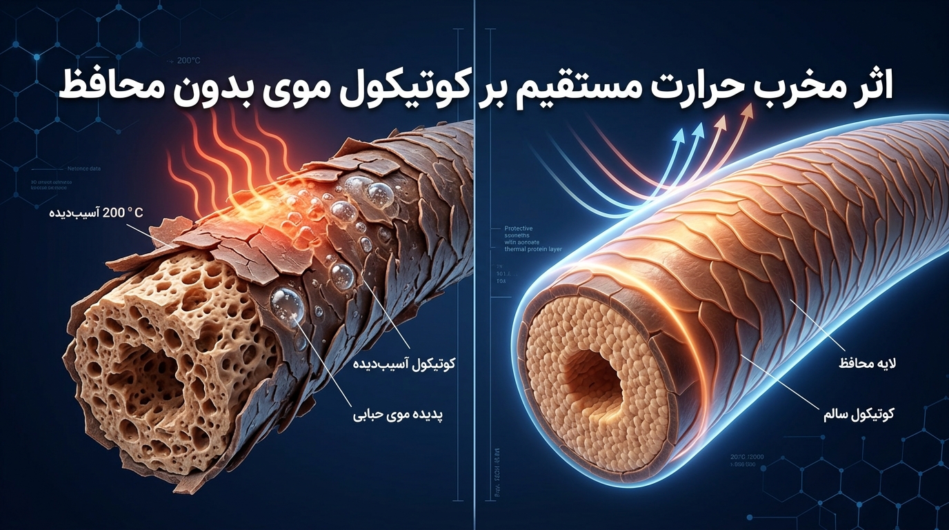 اثر مخرب حرارت سشوار بر کوتیکول موی بدون محافظ و پدیده تاول زدگی تار مو