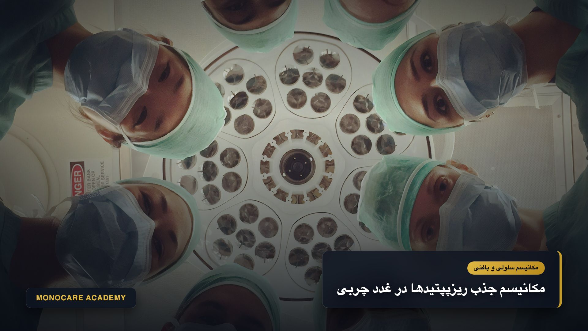 مکانیسم سلولی نفوذ نانوپپتیدها و نیاسینامید اکسیر مونوکر به دهانه غدد سباسه