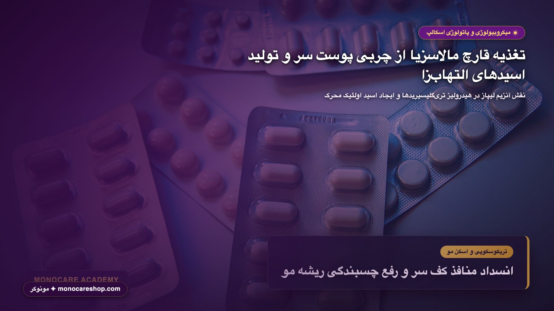 تصویر میکروبیولوژی از هیدرولیز تریگلیسیریدهای سبوم توسط آنزیم لیپاز قارچ مالاسزیا